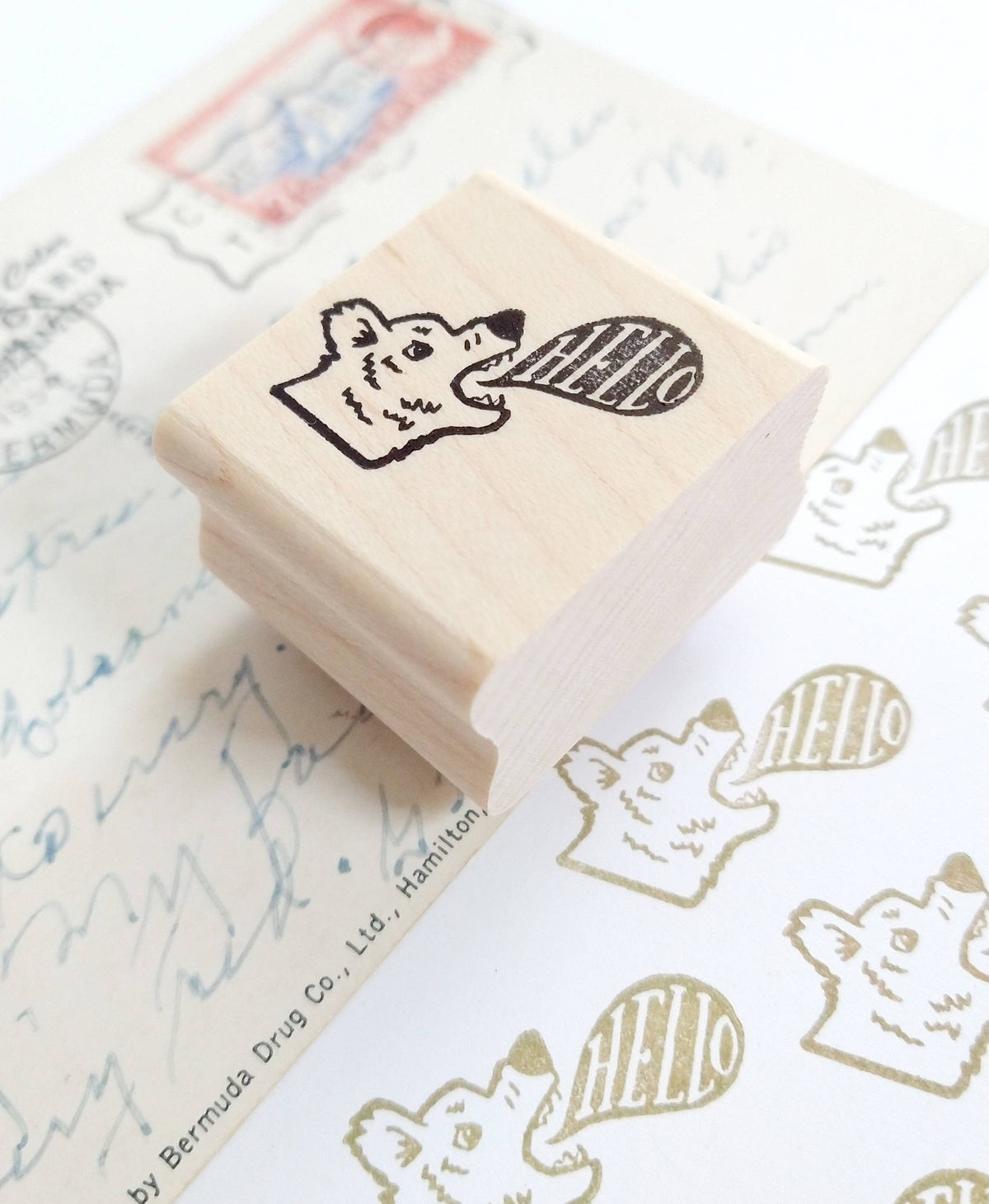 Hello Bear Stamp