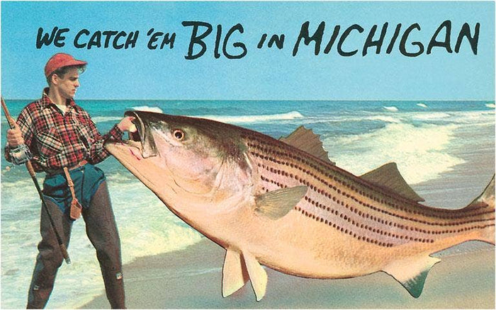 Magnet MI-703 We Catch 'em Big