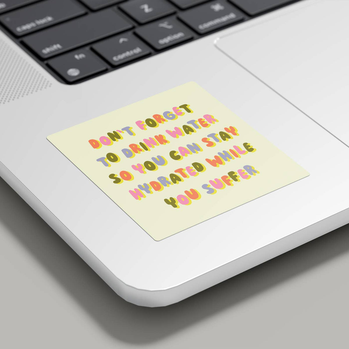 Funny Vinyl Sticker – Hydrated While You Suffer