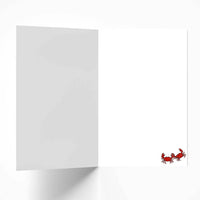 Cute crabs