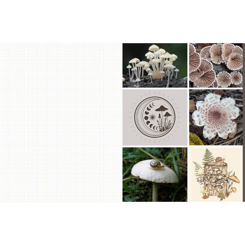 Cut and Collage Mushrooms and Fungi