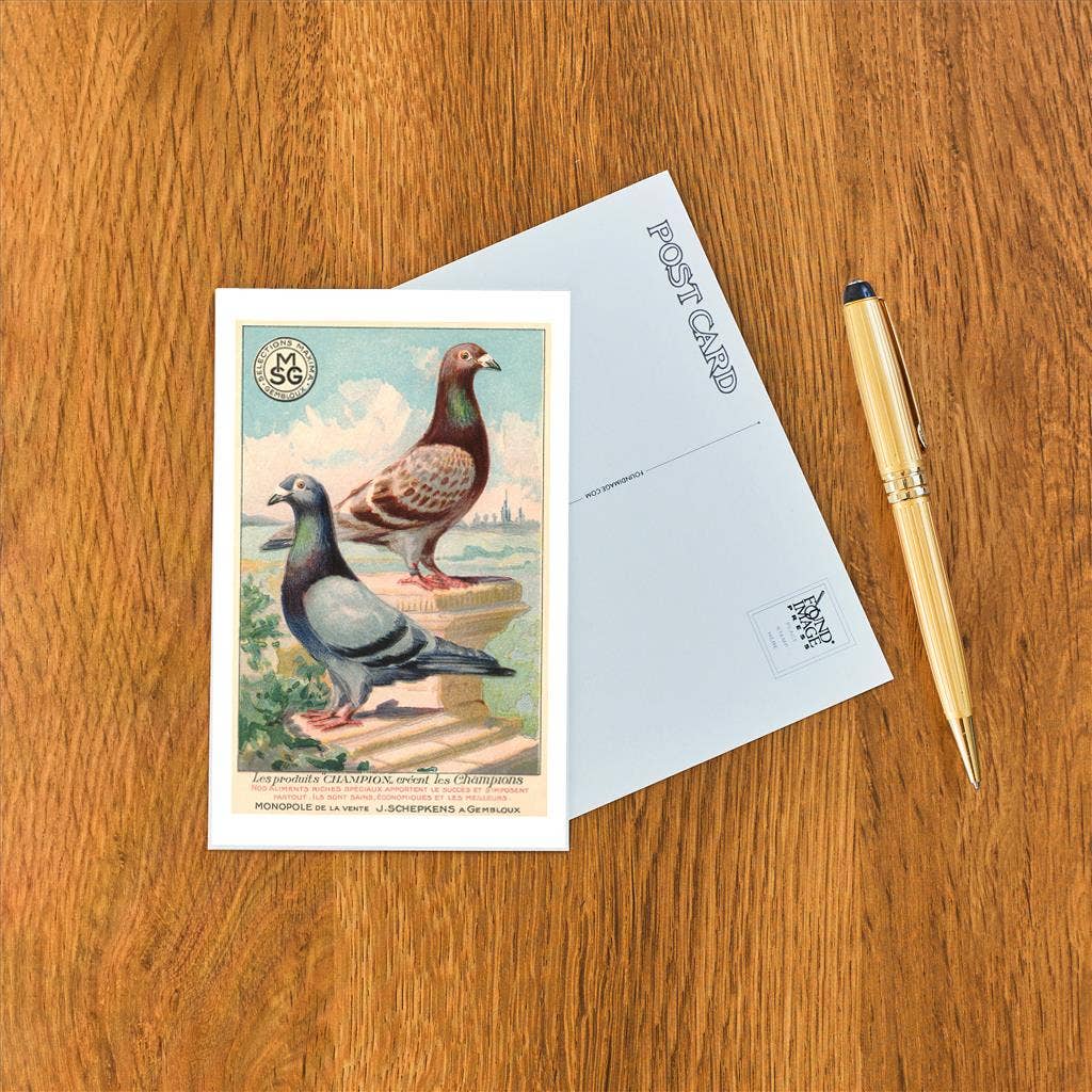Postcard BD-25 Champion Pigeons