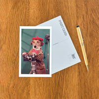 Postcard NP-02 Photographer Dog, Retro