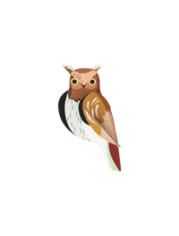 3D Wall Art - Garden Bird - Tawny Owl