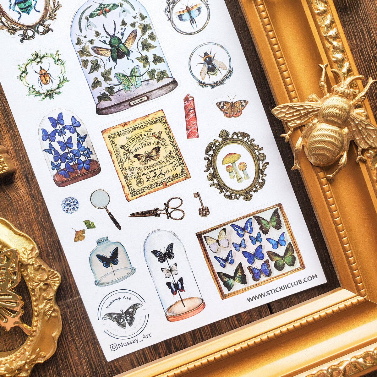 Entomology Collection Sticker Sheet