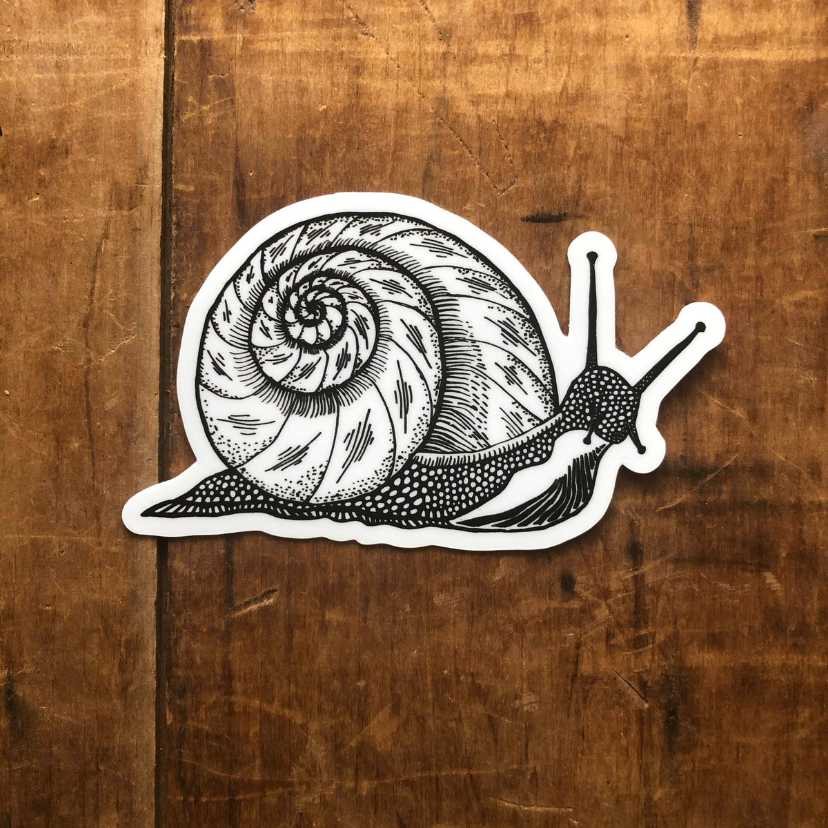 Snail Sticker