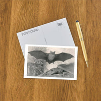 Postcard AN-252 Bats