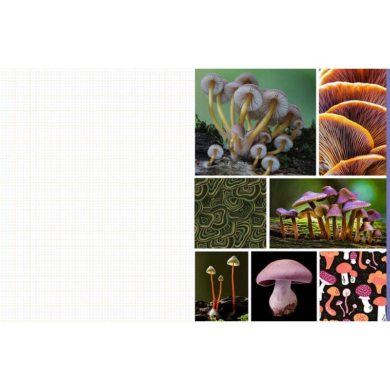 Cut and Collage Mushrooms and Fungi