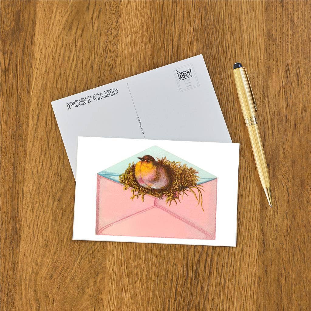 Postcard LT-326 Bird and Nest in Envelope