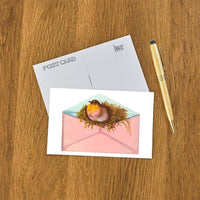 Postcard LT-326 Bird and Nest in Envelope