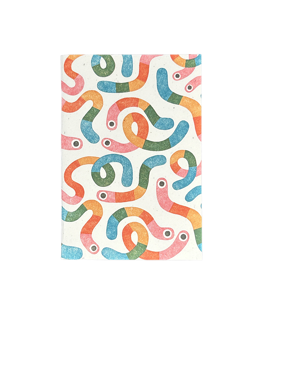 Rainbow Worm Pocket Notebook