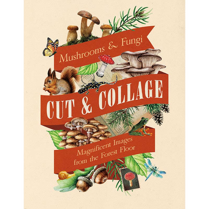 Cut and Collage Mushrooms and Fungi