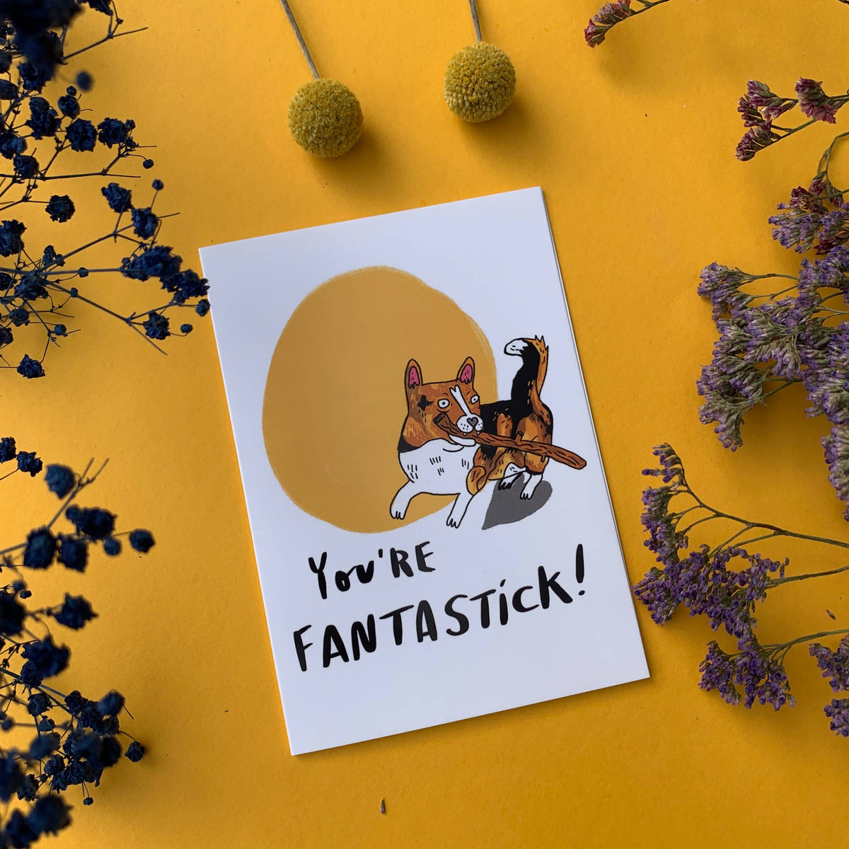 You're FantaSTICK! Corgi - happy dog A6 Greeting Card