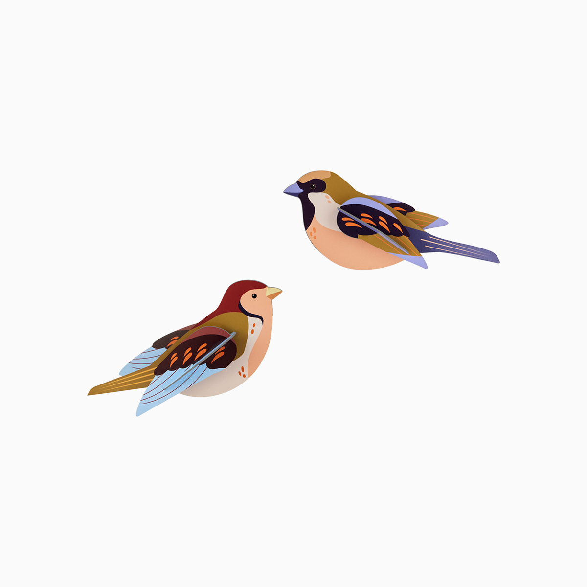 3D Wall Art - Garden Birds - Sparrows