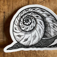 Snail Sticker