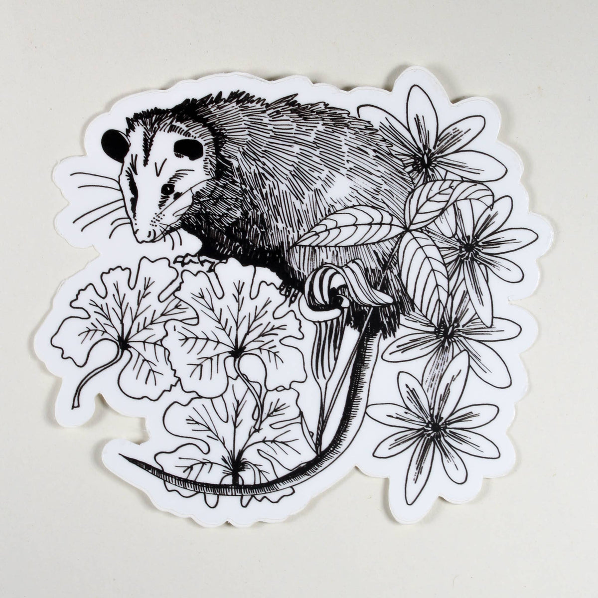 Possum Sticker