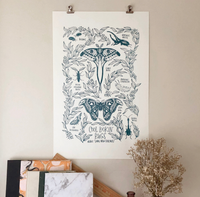 Cool Bugs Print