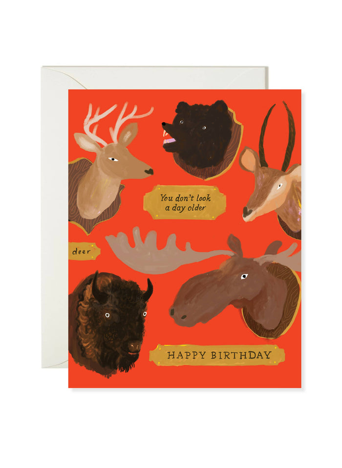 Taxidermy Birthday - Funny Animal Birthday Card