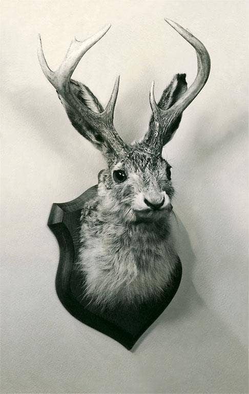 Magnet AA-130 Stuffed Jackalope