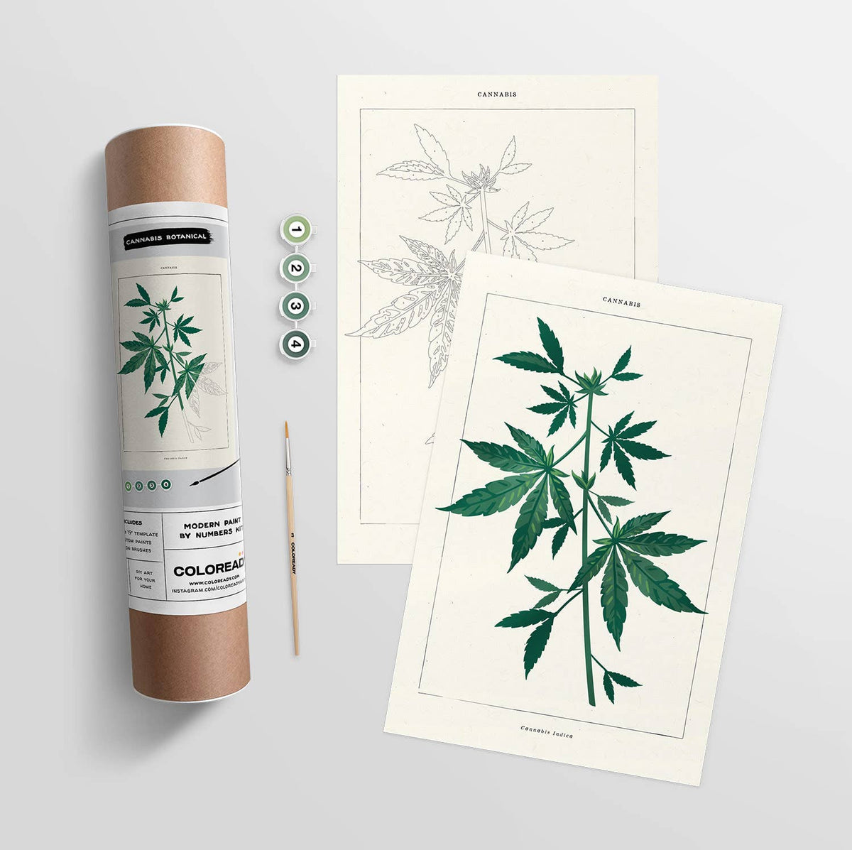 Cannabis Botanical | Modern Paint By Numbers  Kit
