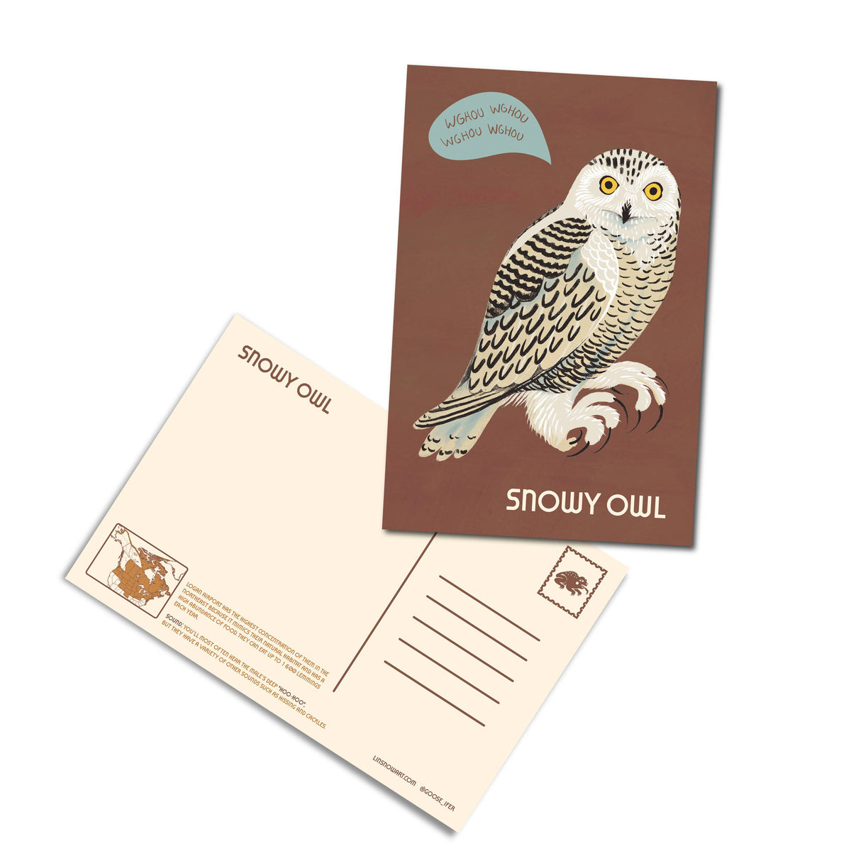 Owls of North America Post Card Pack