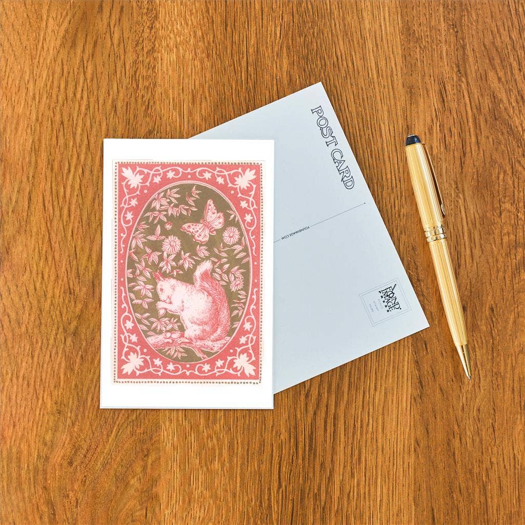 Postcard AN-177 Squirrel in Pink Decorative Frame