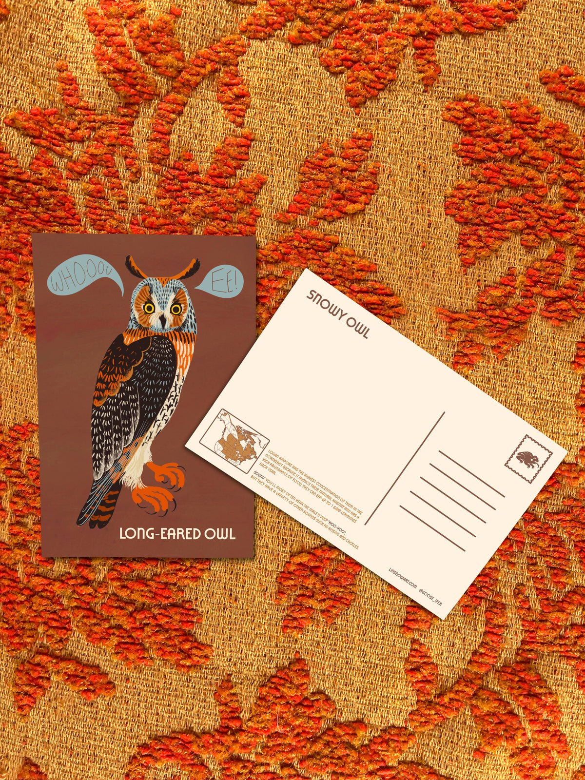 Owls of North America Post Card Pack