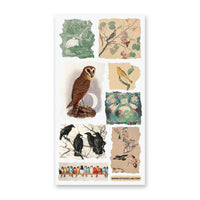 Feathers in Time Sticker Sheet