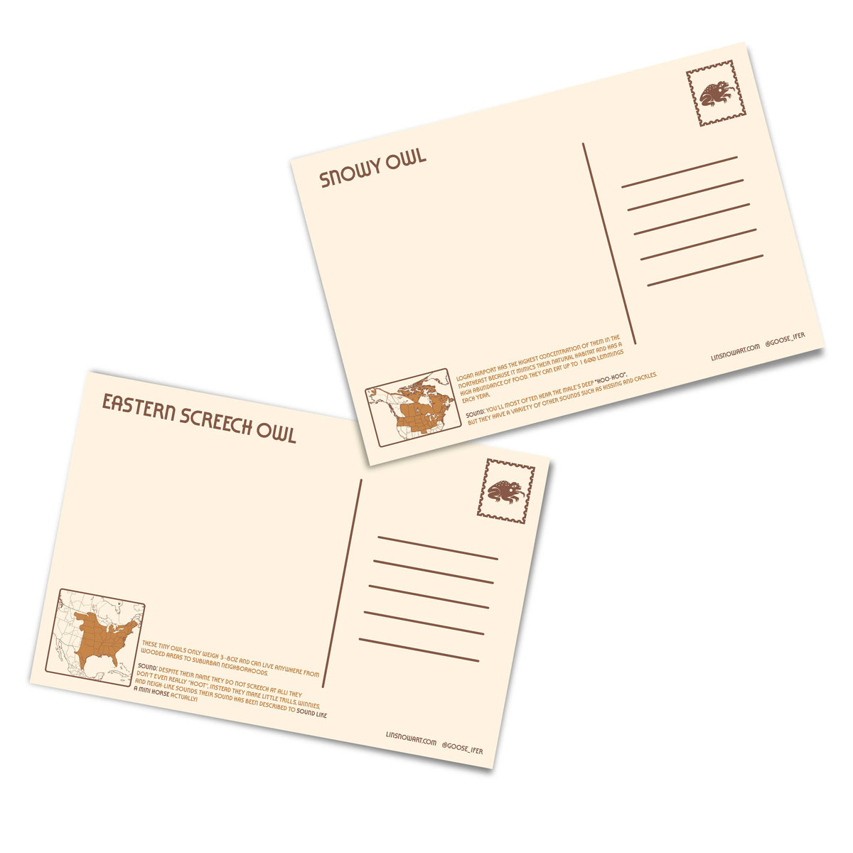 Owls of North America Post Card Pack