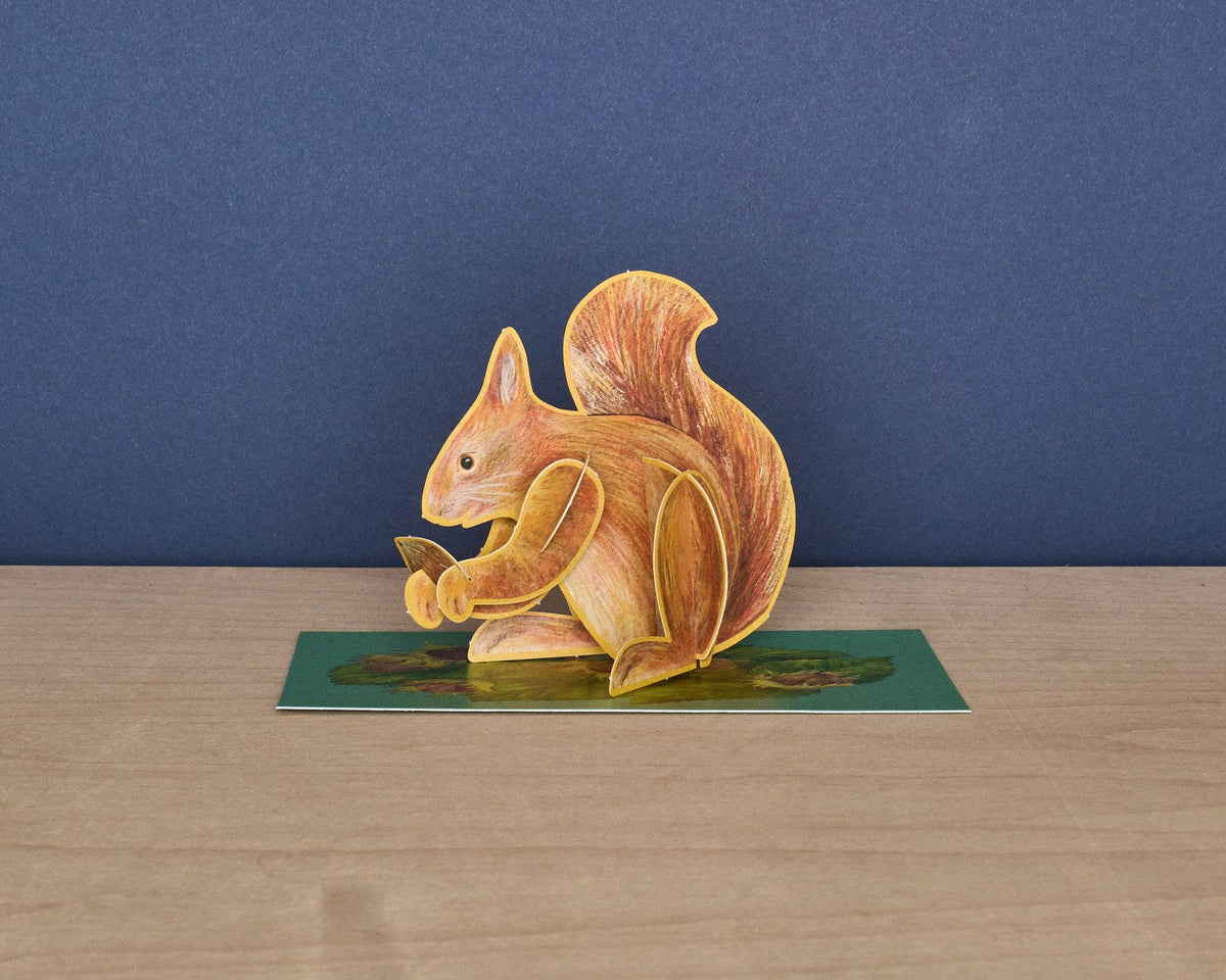Pop-Out Red Squirrel