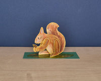 Pop-Out Red Squirrel