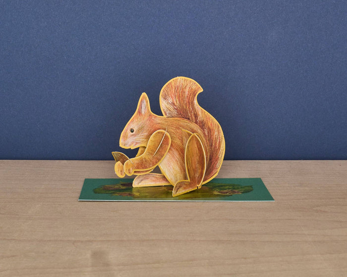 Pop-Out Red Squirrel