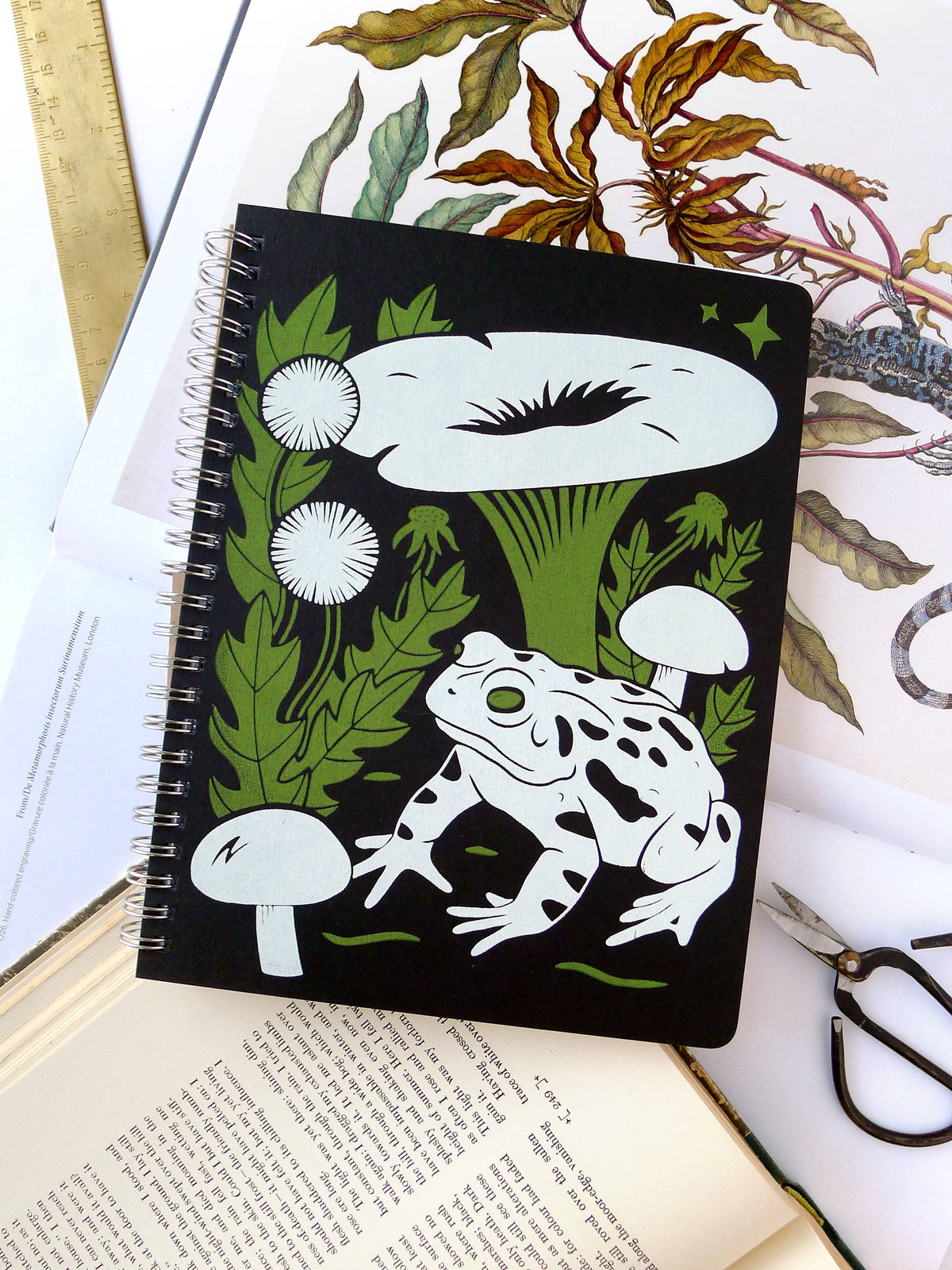 Toad Notebook, LG
