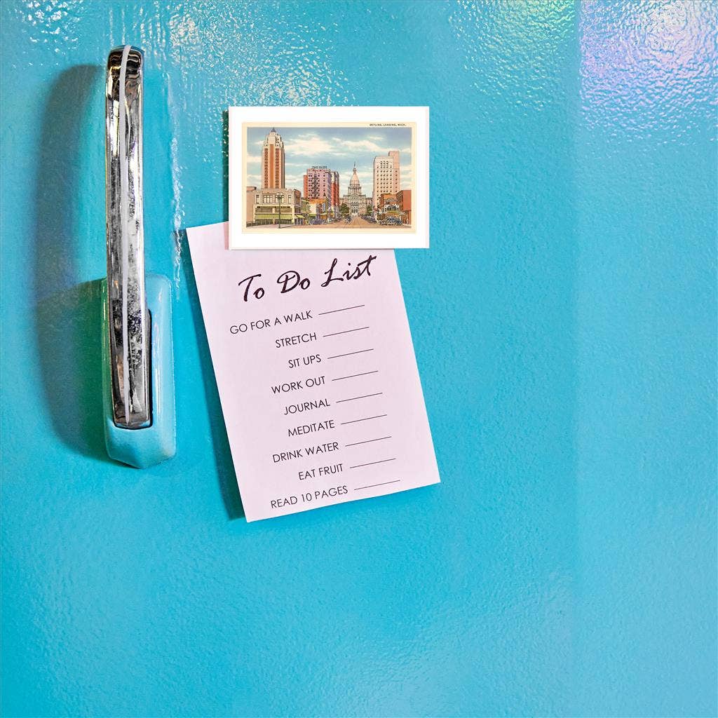 Magnet MI-231 Skyline, Lansing