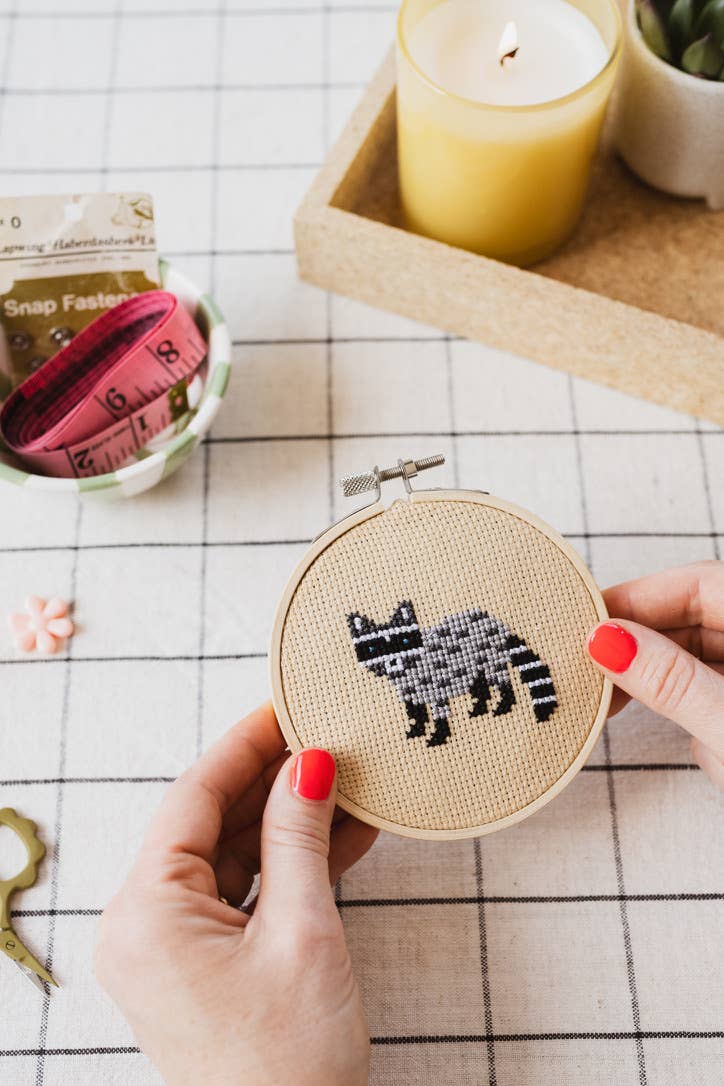 Racoon Cross Stitch Kit for Beginners