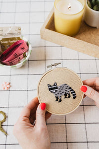 Racoon Cross Stitch Kit for Beginners