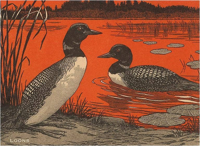 Postcard WD-03 Woodcut of Loons