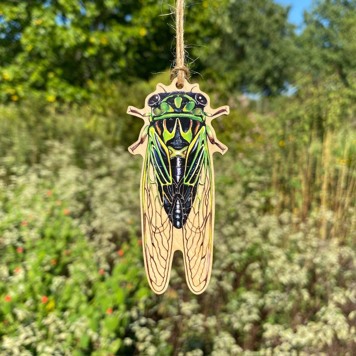 Linne's Cicada Wood Print Christmas Ornament