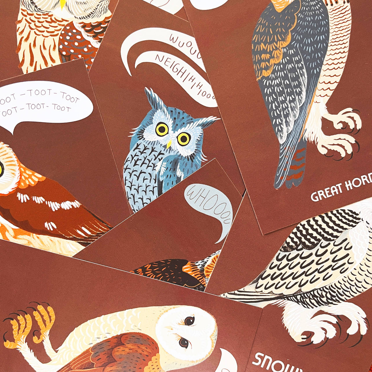 Owls of North America Post Card Pack