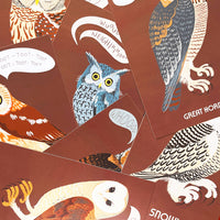 Owls of North America Post Card Pack