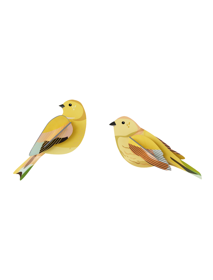 3D Wall Art - Garden Birds - Citrinella Pair
