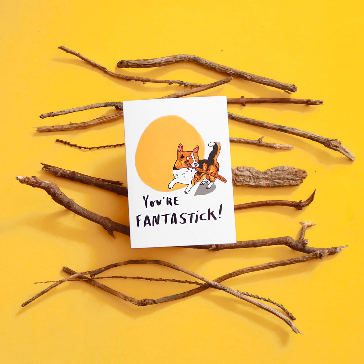 You're FantaSTICK! Corgi - happy dog A6 Greeting Card