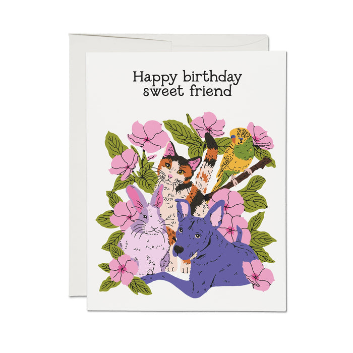 Sweet Friend greeting card