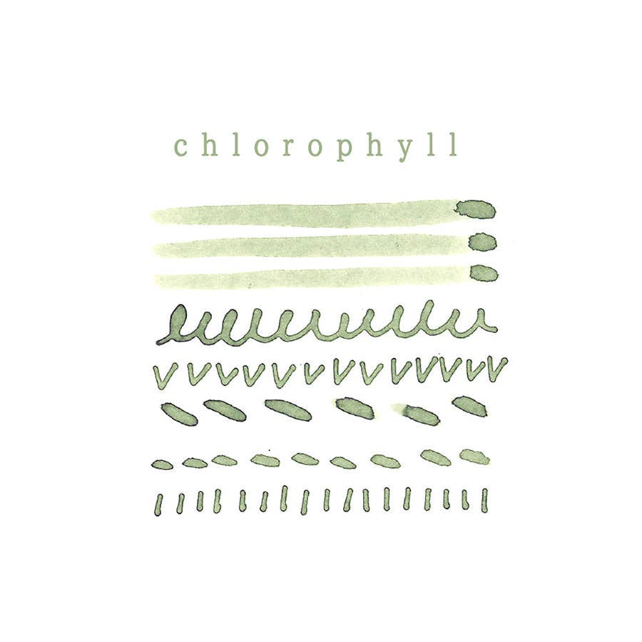FUMISOME | Botanical Dye Ink 02 Leaf Green