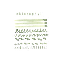 FUMISOME | Botanical Dye Ink 02 Leaf Green