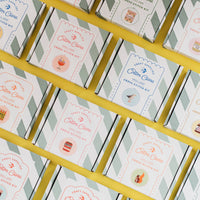 Racoon Cross Stitch Kit for Beginners