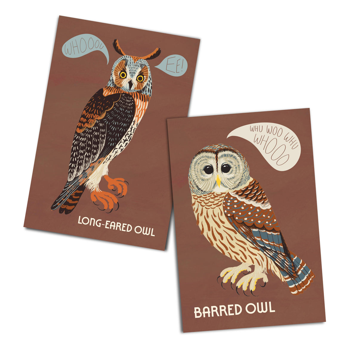 Owls of North America Post Card Pack