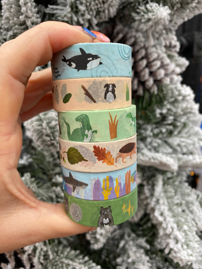 Washi Tape 10 metres (9 designs to choose)