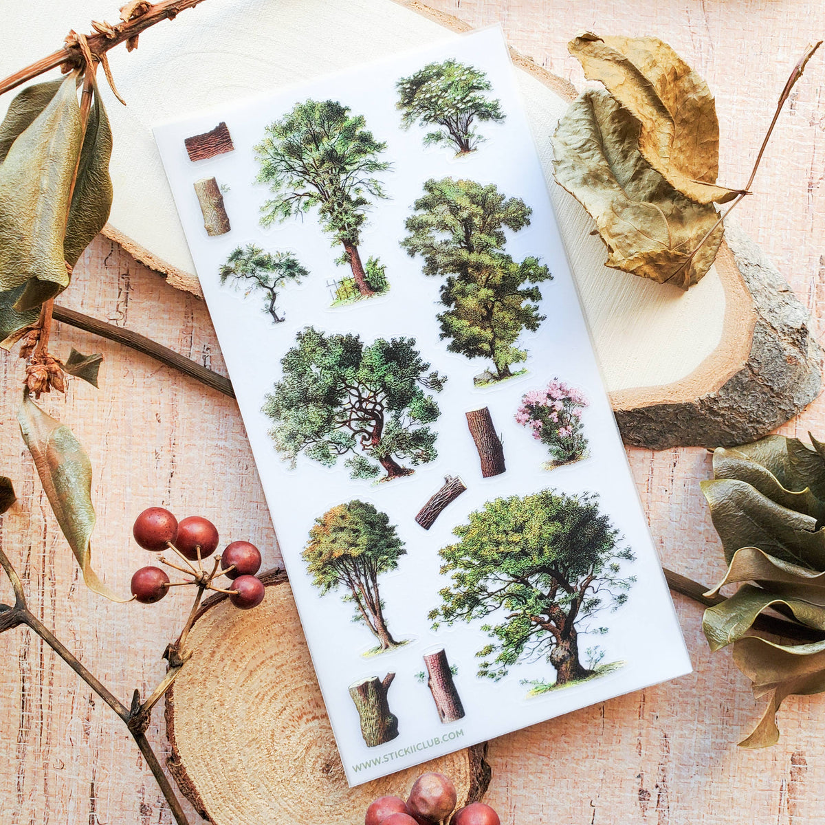 Ancient Trees Sticker Sheet
