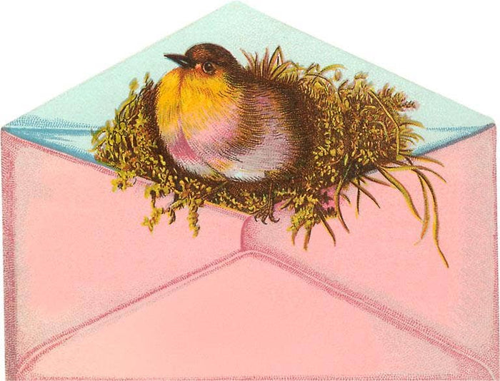 Postcard LT-326 Bird and Nest in Envelope